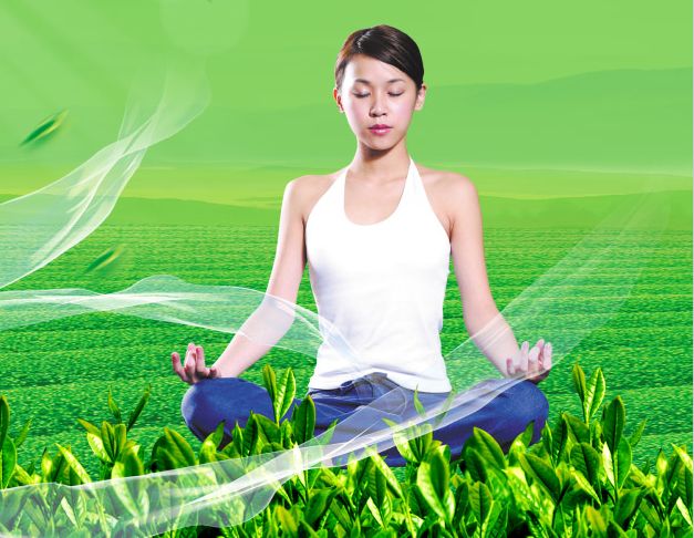 买个假菲律宾驾驶证